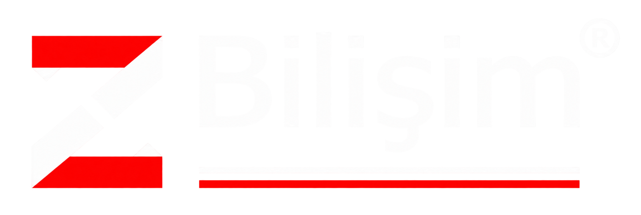 Z Bilişim